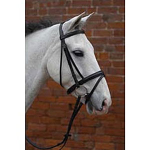 Padded Flash Bridle