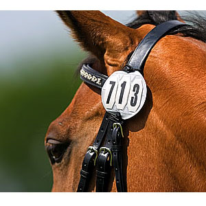 Round Bridle Number (J1118)
